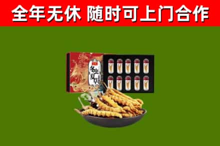 普兰店回收冬虫夏草价格